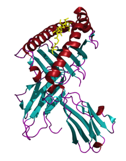 PDB 2GUO - MHC HLA-A2 in complex with Melan-A-MART-1 27-35 peptide.png