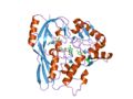 Thumbnail for File:PDB 2q85 EBI.png