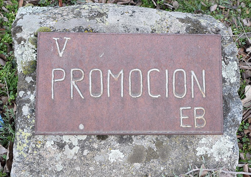 File:PROMOCIÓN V.jpg