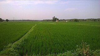 Vattakudi Ukkadai village in Tamil Nadu, India