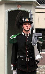 Palace guard at the royal palace, Oslo. Note the G3 type rifle with bayonet over the barrel.