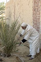 Abdallah is cutting out some palm leaves to start his process of weaving.