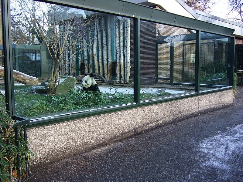 File:Panda-Anlage im Zoologischen Garten Berlin (3433885270).jpg