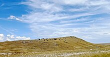 Bleu horses installation as seen from Highway 287 Panorama bleu horses and hills.jpeg