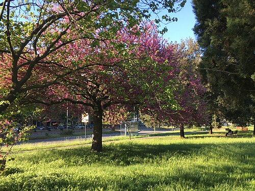 Park of the Solidarietà in Rome