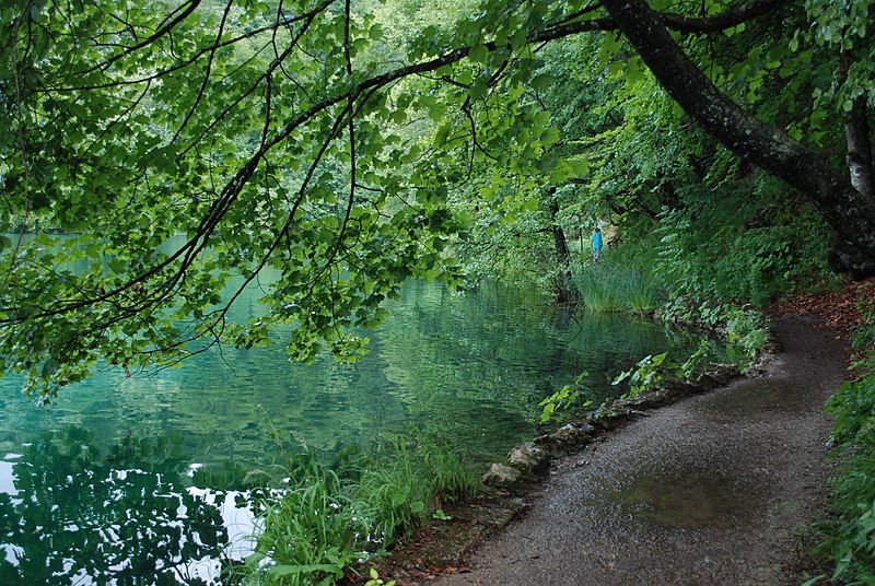 File:Path next to the lake Galovac.jpg