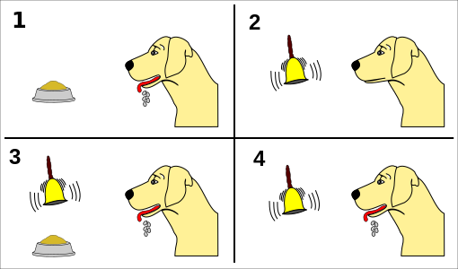 Pavlov’s experiments with dogs and conditioning.^[[Image](https://commons.wikimedia.org/wiki/File:Pavlov%27s_dog_conditioning.svg) by [Maxxl²](https://commons.wikimedia.org/wiki/User:Maxxl2) is licensed under [CC BY-SA 4.0](https://creativecommons.org/licenses/by-sa/4.0/)]
