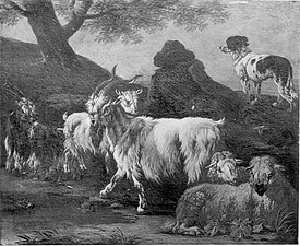 Chèvres et troupeau de moutons
