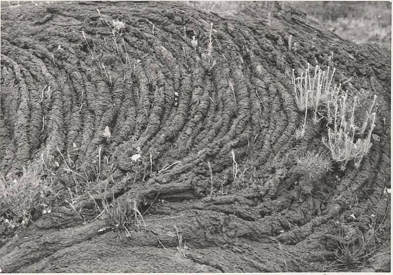 File:Photo Lava flow on Vesuvius slopes 1960 - Touring Club Italiano 2.2345.jpg