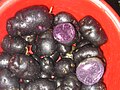 Potato - Name: Vitelotte