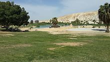 Golda Park-Negev