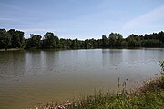 Čeština: Rybník Plánský (7,31 ha) v k.ú. Údolí u Nových Hradů, obec Nové Hrady, okres České Budějovice. English: Plánský pond in Nové Hrady, České Budějovice District, South Bohemian Region, Czechia.