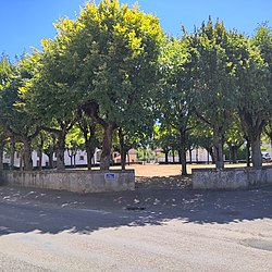 place de la Liberté