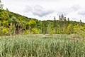Pond in Plitvice Lakes National Park, Croatia (48670460552).jpg