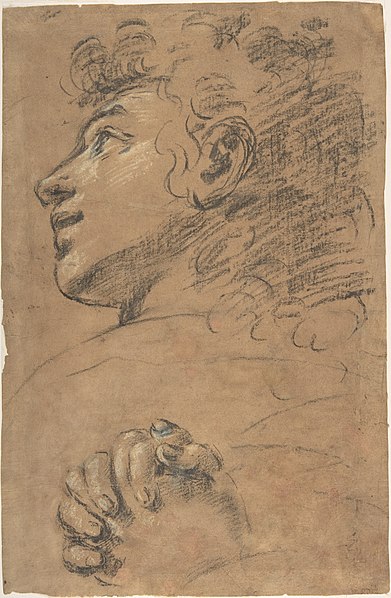File:Profile Head of a Youth Looking to Upper Left, and Study of Clasped Hands MET DP809051.jpg