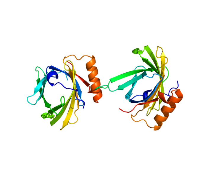 File:Protein PTGDS PDB 2WWP.png