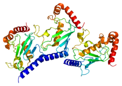 Белок UBE2G2 PDB 2cyx.png