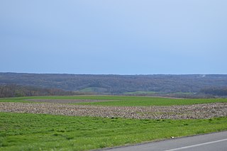 <span class="mw-page-title-main">Pulaski Township, Lawrence County, Pennsylvania</span> Township in Pennsylvania, United States