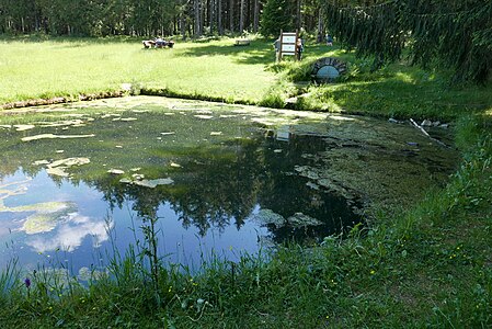 Quellteich der Schutter