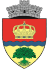 Coat of arms of 1 децембар