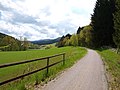 Radweg nahe Baumgarten - panoramio.jpg