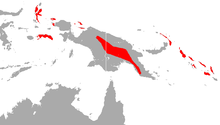 La Sheath-Tailed Bat-area.png de Raffray