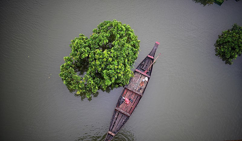 File:Ratargul bird's view.jpg