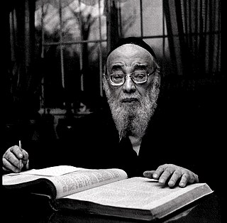 <span class="mw-page-title-main">Yaakov Yitzchok Ruderman</span> American rabbi