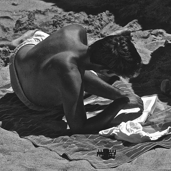 File:Reading at the beach (23624057565).jpg