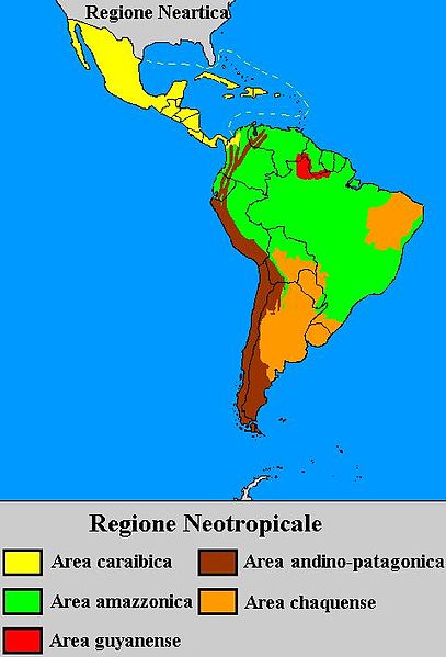 File:Regione Neotropicale.jpg