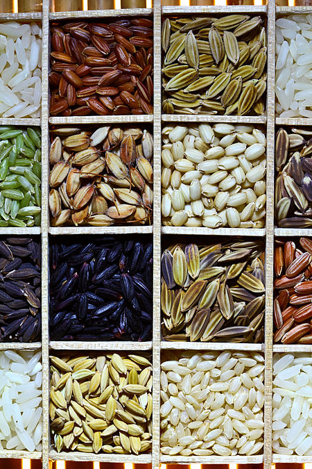 Tập_tin:Rice_diversity.jpg