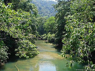 <span class="mw-page-title-main">Sarstoon River</span> River in Belize and Guatemala