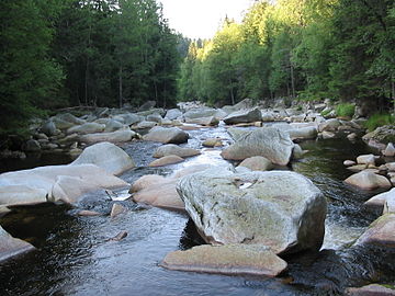 Soubor:River_Vydra.JPG