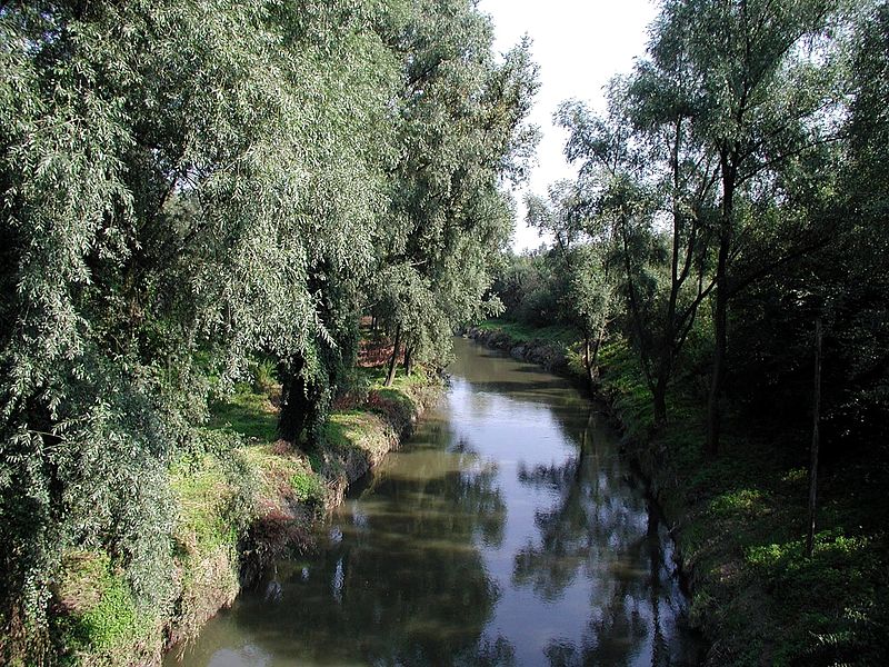 File:River in nature habitat.jpg