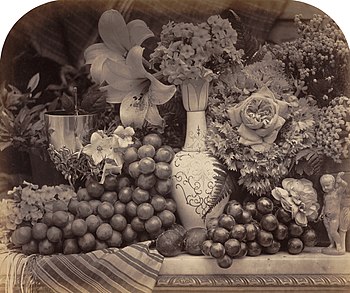 Fruit and Flowers (1860) by Roger Fenton Roger Fenton Fruit and Flowers, 1860 Paul Mellon Fund.jpg