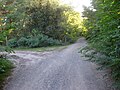 vor Abzweig südwärts zur Theodor-Schmidt-Straße