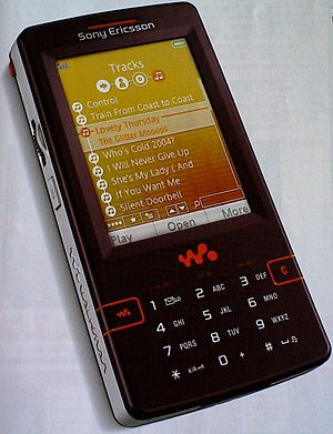 SE W950i.jpg