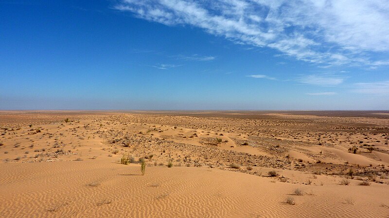 File:Sahara 1.jpg