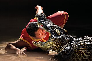 <span class="mw-page-title-main">Samutprakarn Crocodile Farm and Zoo</span> Crocodile zoo in Samut Prakan, Thailand