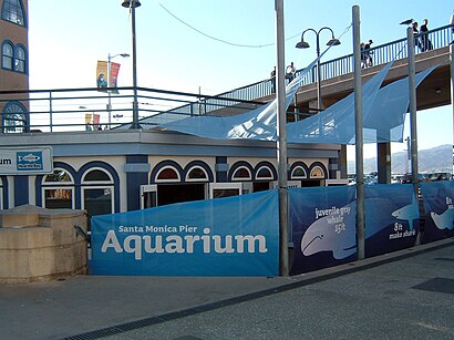 How to get to Santa Monica Pier Aquarium with public transit - About the place
