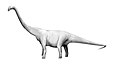 Lourinha sauropod