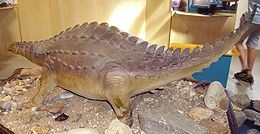 (Scelidosaurus harrisonii) modelis