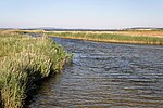 FFH-Gebiet Strandseen der Hohwachter Bucht