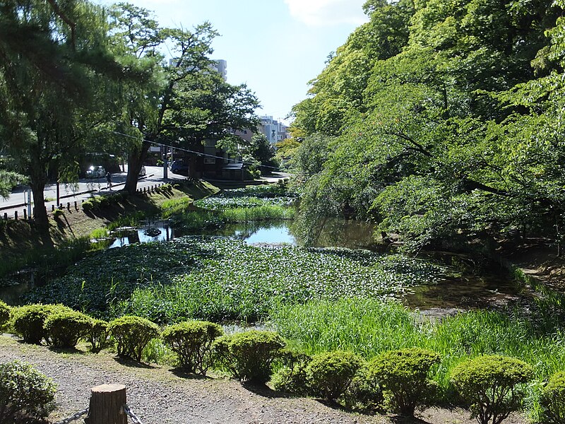 File:Senshu Park uchibori.jpg