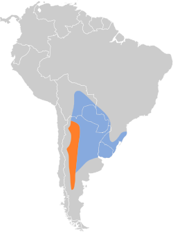 Distribución geográfica del piojito trinador.