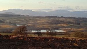 Sheriffmuir looking north Sheriffmuir looking north.jpg