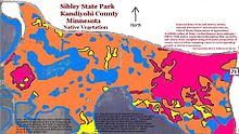 Soils of Sibley State Park