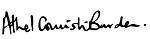 Signature of Athel Cornish-Bowden.jpg