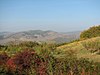 Silistea Tataru - panoramio (14).jpg