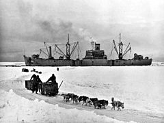 Sled dogs with USS Yancey (AKA-93) in the Antarctic c1947.jpg